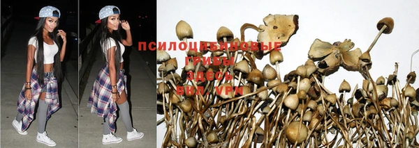 кокаин премиум Няндома
